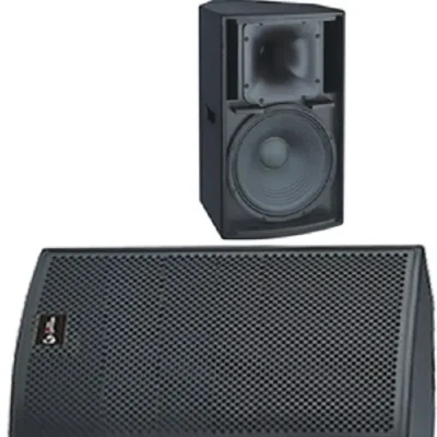 15-inch passive loudspeaker