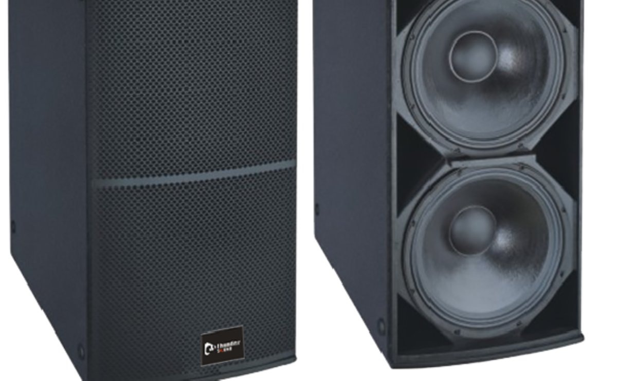 Thunder Sound TS228 Subwoofer