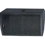 Thunder Sound TS115