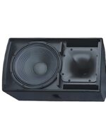 12-inch loudspeaker