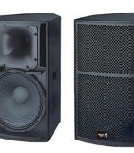 TS1 12 loudspeaker