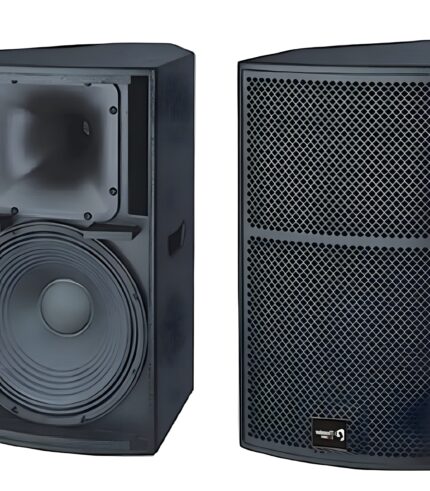 TS1 12 loudspeaker