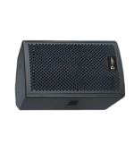 Professional audio speaker