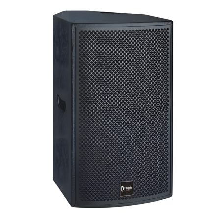Thunder Sound TH110 Passive Speaker
