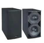 Thunder Sound TH228 Passive Speaker