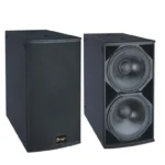 Thunder Sound TH228 Passive Speaker