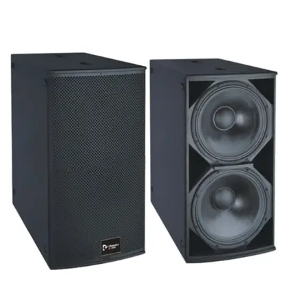 Thunder Sound TH228 Passive Speaker