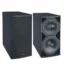 Thunder Sound TH228 Passive Speaker