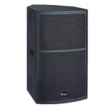 Thunder Sound TS1 12 loudspeaker