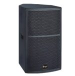 Thunder Sound TS1 12 loudspeaker