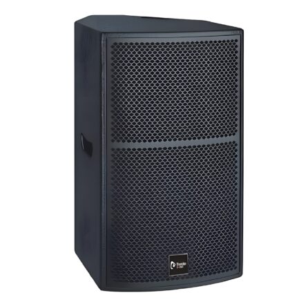Thunder Sound TS1 12 loudspeaker