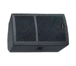 Thunder Sound TS110 2-way full-range