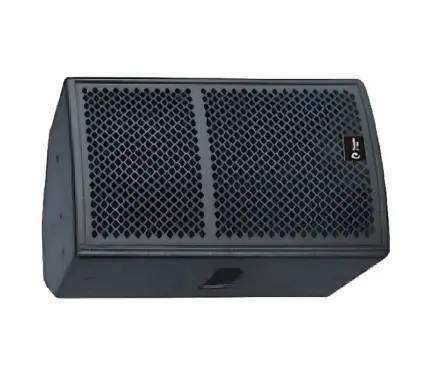 Thunder Sound TS110 2-way full-range