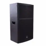 Thunder Sound TS115 Passive Speaker