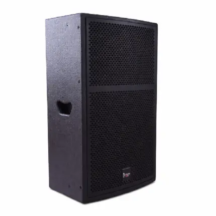 Thunder Sound TS115 Passive Speaker