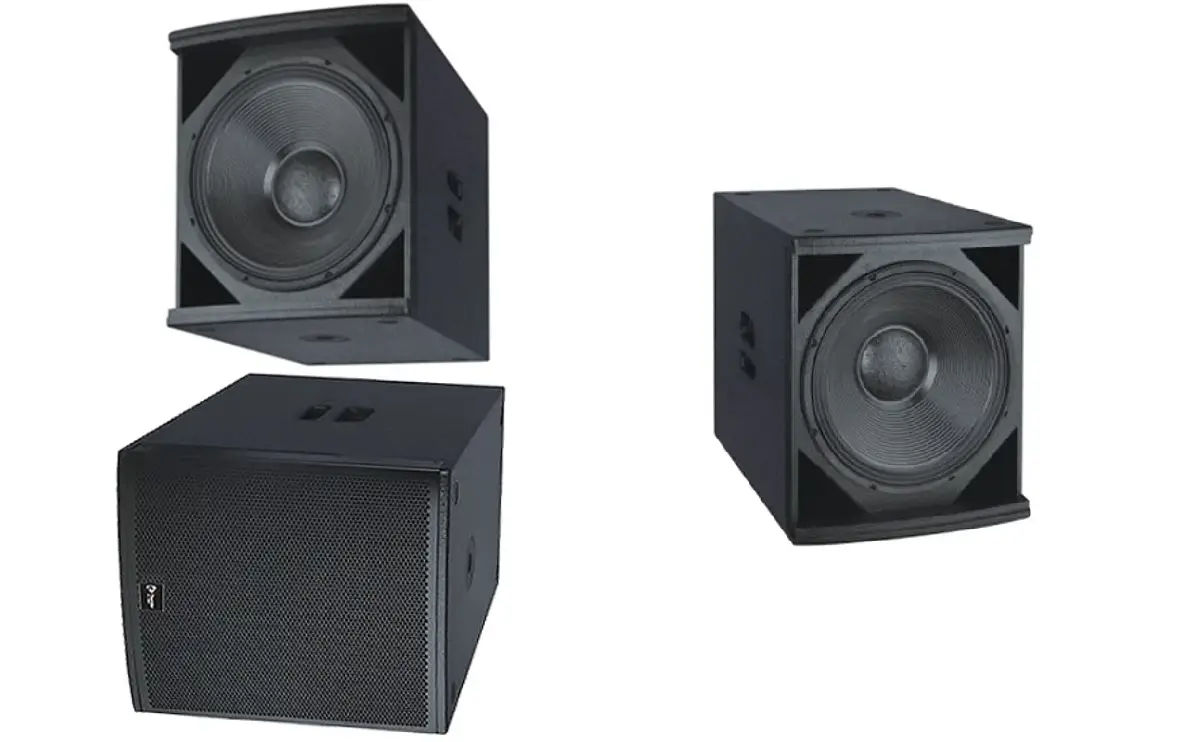 Woofer and a Subwoofer