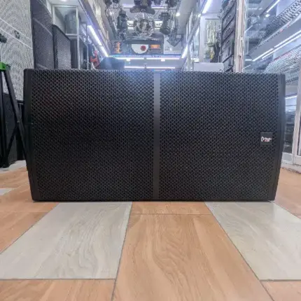 Thunder Sound TS 218 Bass Speaker