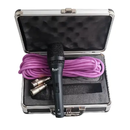 Thunder Sound TS9 Microphone